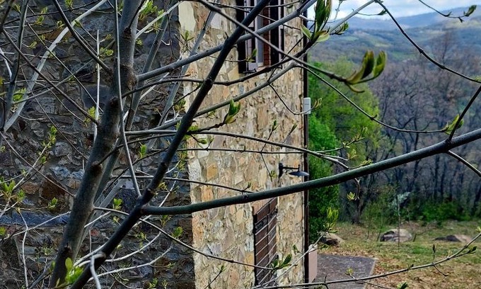 Arcidosso Villa | Discover Podere Frassinelli: A Cozy Forest Retreat