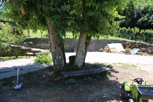 Serravalle Pistoiese House | Pet-Friendly Retreat at Podere il Sorriso degli Angeli