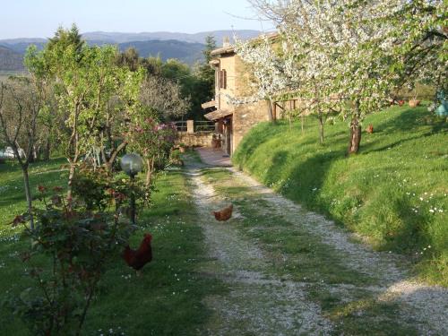 Orvieto House | Podere La Vigna: Family-Friendly Stay with Pool & 10/10 Rating