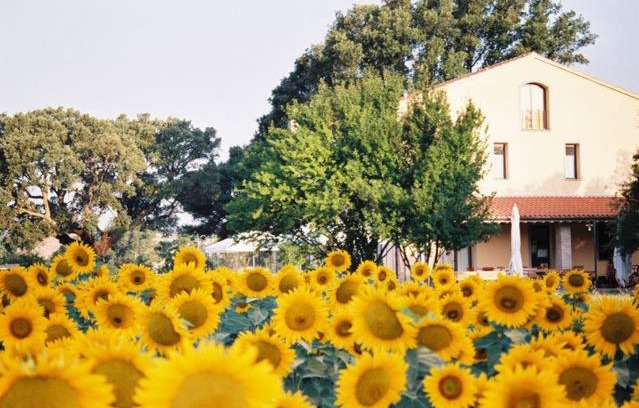 Roccastrada House | Experience Comfort at Podere Le Querce - Rated 9/10
