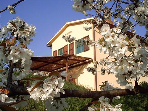 Montopoli in Val d'Arno Apartment | Idyllic Podere Mazzana: Pet-Friendly Oceanfront Escape