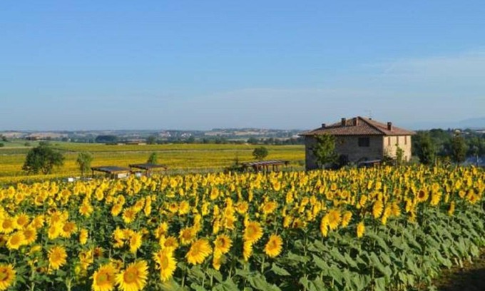Panicale Villa | Podere Molinaccio: 4-Star Oceanfront Escape with Spa & Pool