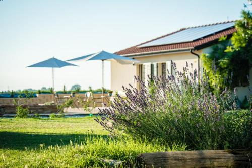 Imola House | Explore Podere Zampiera Vecchia: Oceanfront Bliss Awaits