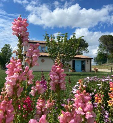 Monteleone Bed & Breakfast | Guest Rated: Poderino - A Place to Feel Invigorated