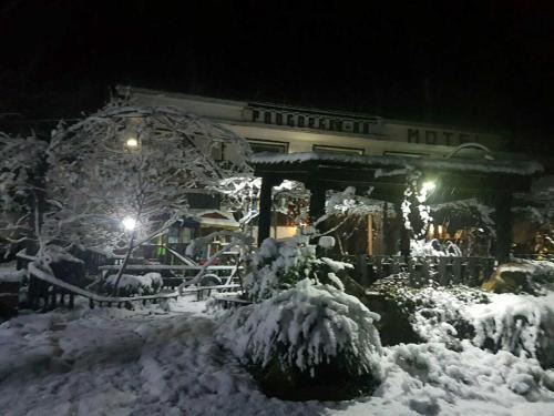 Gabrovo Hotel | Podgorski An: Guest Rated 10/10 with Pet-Friendly Amenities