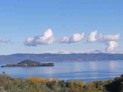 Capodimonte Bed & Breakfast | Exceptional Poggiolindo B&B: Pet Friendly with Ocean Views