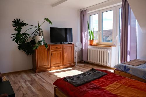 gmina Srokowo Apartment | Guest Rated 9.1: Pokoje u Ani with Kitchen & Breakfast