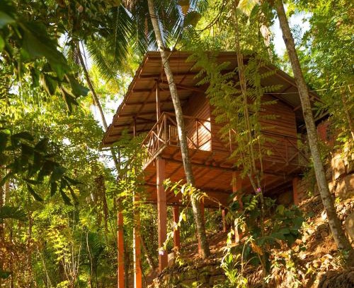 Digana House | Discover Polwaththa Eco Lodges: Top-Rated Family Retreat
