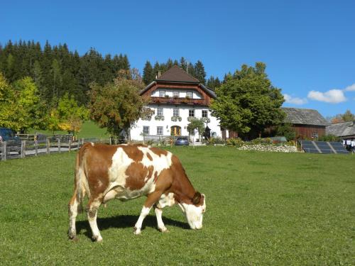 Sankt Andrae im Lungau Apartment | Polzhof: Family-Friendly Retreat with 9.7/10 Guest Rating