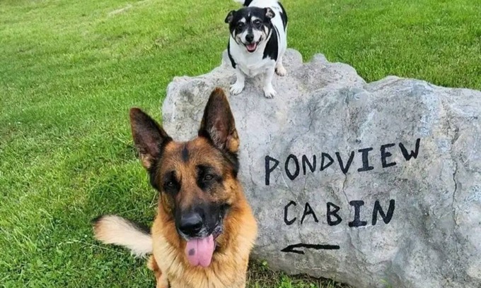 Lewisburg Cabin | Cozy Pond View Cabin: Pet-Friendly Retreat in WV
