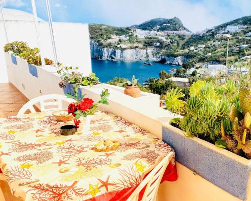 Le Forna Apartment | Experience Ponzamania Cala Feola with Ocean Views & Breakfast