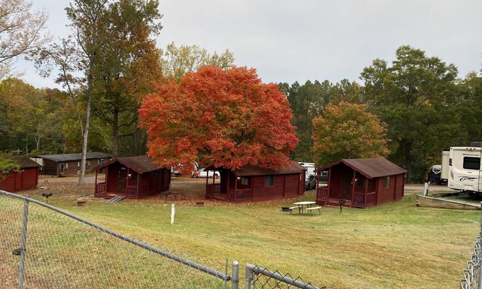 Salisbury Cabin | Cozy Poolside Rustic Cabin - Ideal for Families and Pets