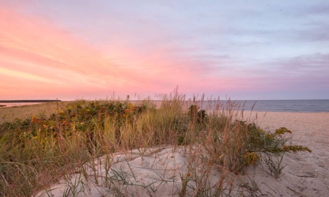 Mashpee Cottage | Discover Poppy Cottage: Walk to Beach with Pool & AC!