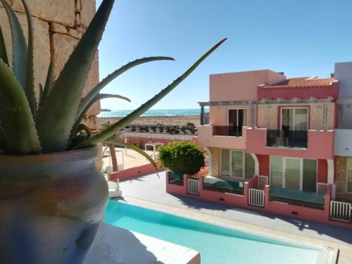 Sal Rei Apartment | Port Do Sol: Pet-Friendly Oasis with Free Wi-Fi & Pool