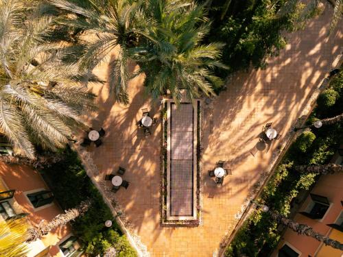 Elche Hotel | Relax at Jardín Milenio: Top-Rated 4-Star Hotel Experience