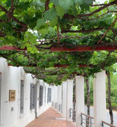 Calitzdorp Bed & Breakfast | Beachfront Port Wine Guesthouse with Pool & Ocean Views