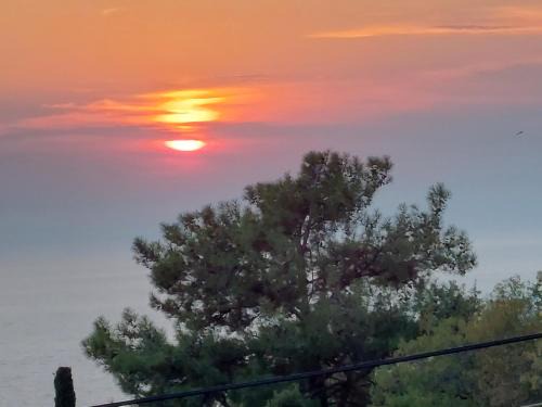 Athani Apartment | Discover Porto Katsiki: Family-Friendly Getaway with High Ratings