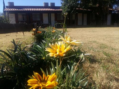 San Agustin de Valle Fertil Hotel | Cozy Stay at Posada Cerro Los Nogales with Breakfast Included