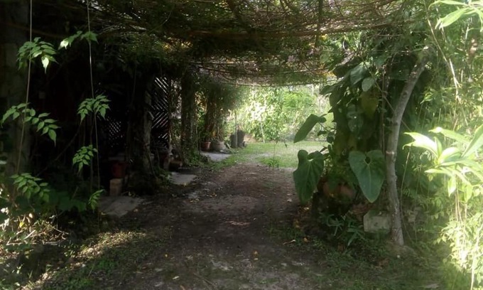 Siguatepeque Cabin | Cozy Posada El Malcotal: Family-Friendly, Pet Friendly Stay