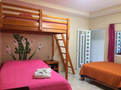 Xilitla Hotel | Discover Hotel Jovita: Perfect for Families, Rated 10/10