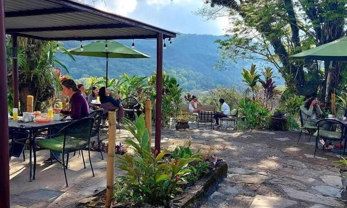 Xilitla Hotel | Experience Comfort at Posada James with Pool & Spa Access