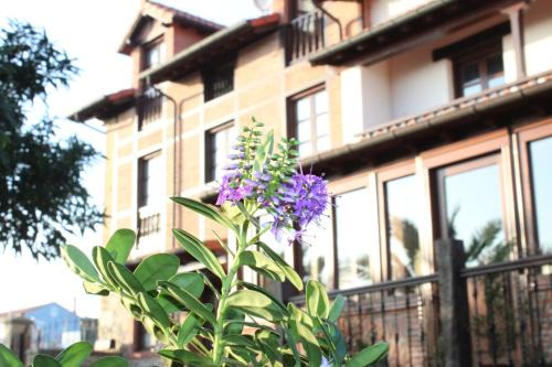 Vispieres House | Cozy Retreat at Posada La Cabaña De Salmon with Breakfast