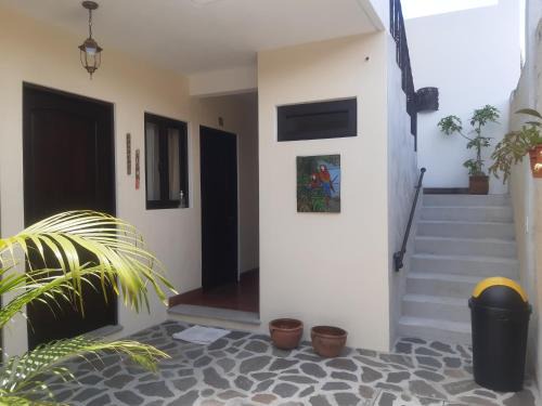 Antigua Guatemala Hotel | Cozy Posada Maya: Pet and Child Friendly Retreat