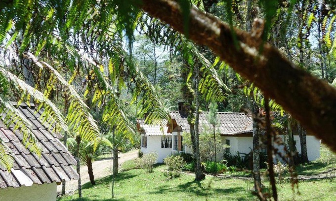 Purulha Hotel | Pet Friendly Posada Montaña del Quetzal with Ocean View