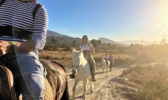 Tabernas Bed & Breakfast | Posada Rancho Malcaminos - Desert of Tabernas