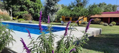 San Javier Hotel | Highly Rated Posada Villapancha B&B: Pool & Breakfast Await