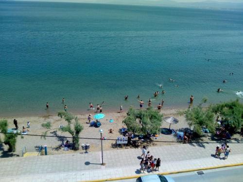 Lefkandi Apartment | Oceanfront Poseidon Hotel with Exceptional Guest Ratings