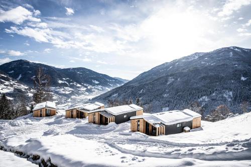 Radenthein Ski Chalet | Exceptional Possegger Hideaways: Pet-Friendly Retreat with Spa