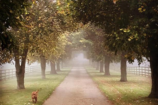 Towcester Apartment | Child-Friendly Retreat at Potcote Farm Stables