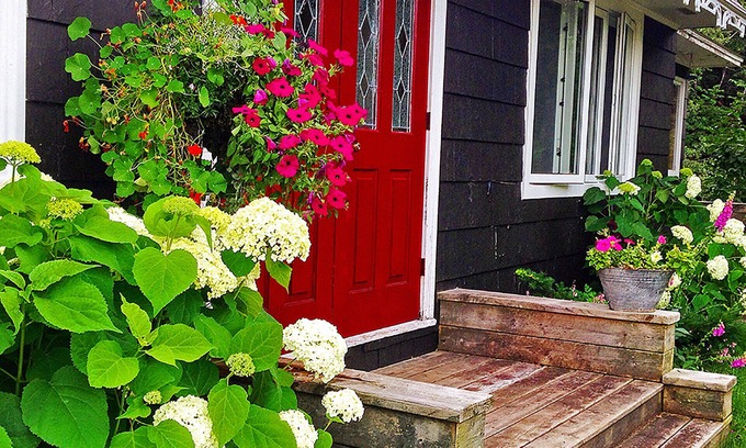 Margaree Valley Cottage | Discover Potter's Cottage in Beautiful Margaree Valley
