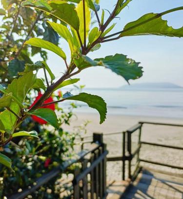 Sao Francisco do Sul Hotel | Pet-Friendly Getaway at Pousada 4 Estações Itapoa