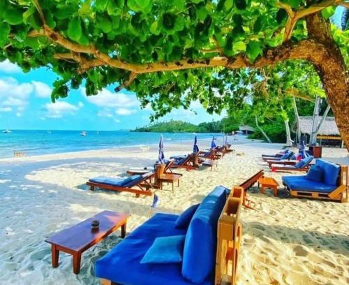 Ilha de Boipeba Hotel | Explore Pousada Boutique Coco Bambu Morere with Ocean View