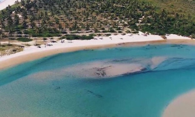 Barra do Jacuipe Hotel | Inviting Pousada Carvalhos: Pool, Breakfast & Family-Friendly