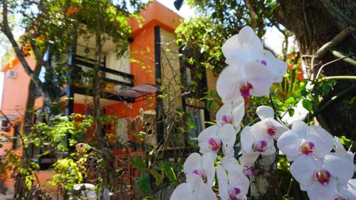 Cabo Frio House | Casa Di Gaya: Guest Rated 9/10 with Ocean View & Pool