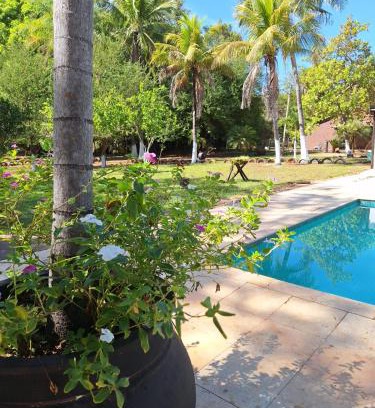Palmas Hotel | Experience Oceanfront Bliss at Pousada Divino Toca