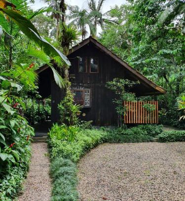 Morretes Cabin | Oasis Retreat with Pool and Ocean View, Rated 9.2/10