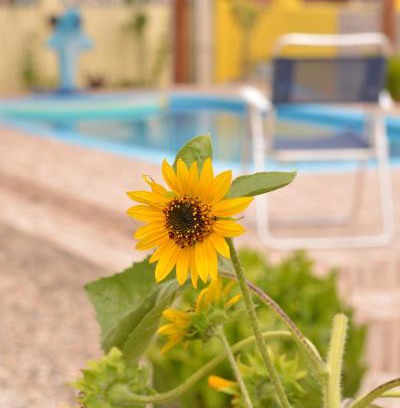 Rio Tinto Apartment | Discover Pousada dos Sonhos: Ocean View & Pet-Friendly Escape