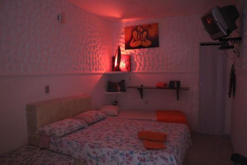 Galinhos Hotel | Pet-Friendly Retreat at Pousada Golfinho - Rated 9/10