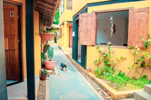 Itaunas Hotel | Ocean View Retreat at Pousada Mangue Seco - Rated 9/10