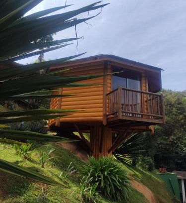 Nucleo Maua Hotel | Discover Pousada Mirante do Céu: Pet Friendly Retreat