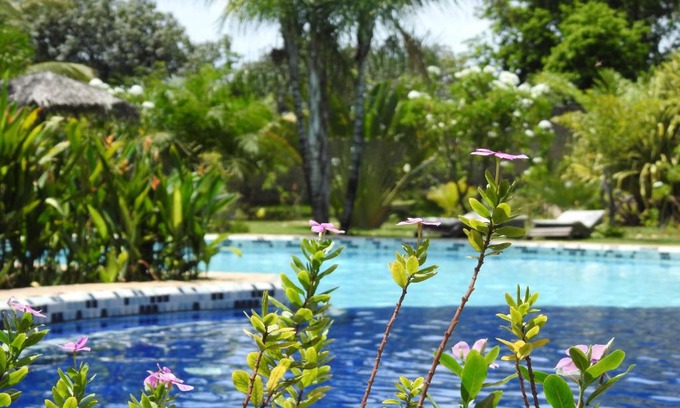 Pipa Hotel | Discover Pousada Morada dos Ventos with Oceanfront Views