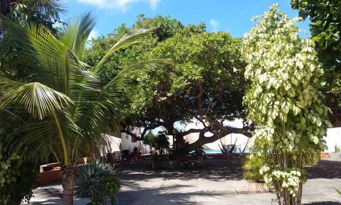 Prado Hotel | Discover Pousada Pé de Caju: Poolside Retreat with Breakfast
