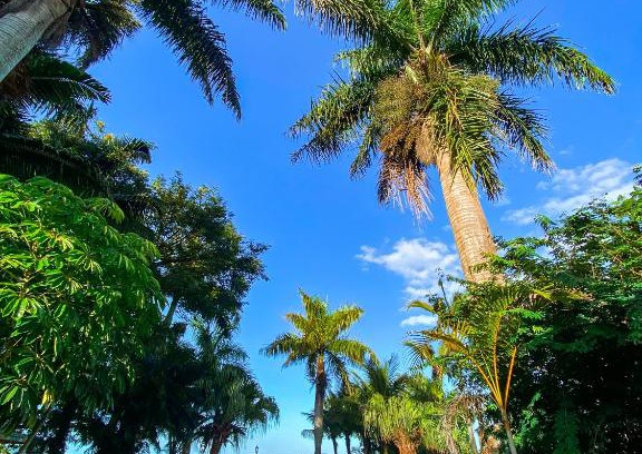 Florianopolis Hotel | Pet-Friendly Pousada Ponta do Lago with Oceanfront Views