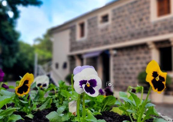 Sao Joao do Polesine Apartment | Exceptional Pousada Recanto: Family-Friendly with Hot Tub