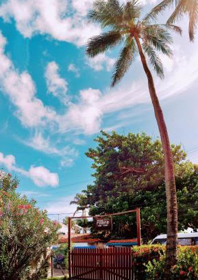Taiba House | Discover Pousada Roane - Taíba: Oceanfront & Pet Friendly
