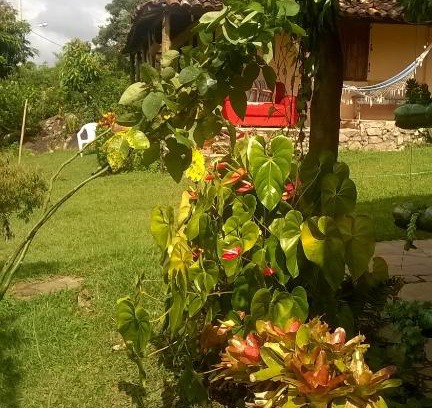 Sao Goncalo do Rio das Pedras Hotel | Discover Pousada Sempre Viva: Pet-Friendly & Family Fun